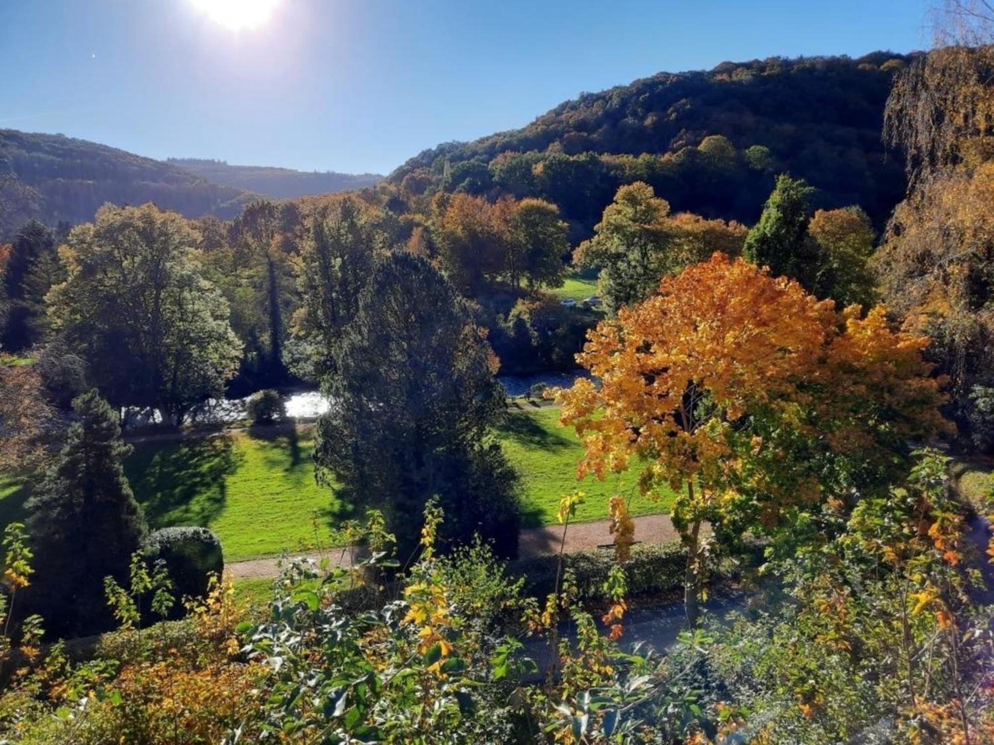 Ferienhaus &#039Freund Am See&#039 1 Heimbach Dış mekan fotoğraf