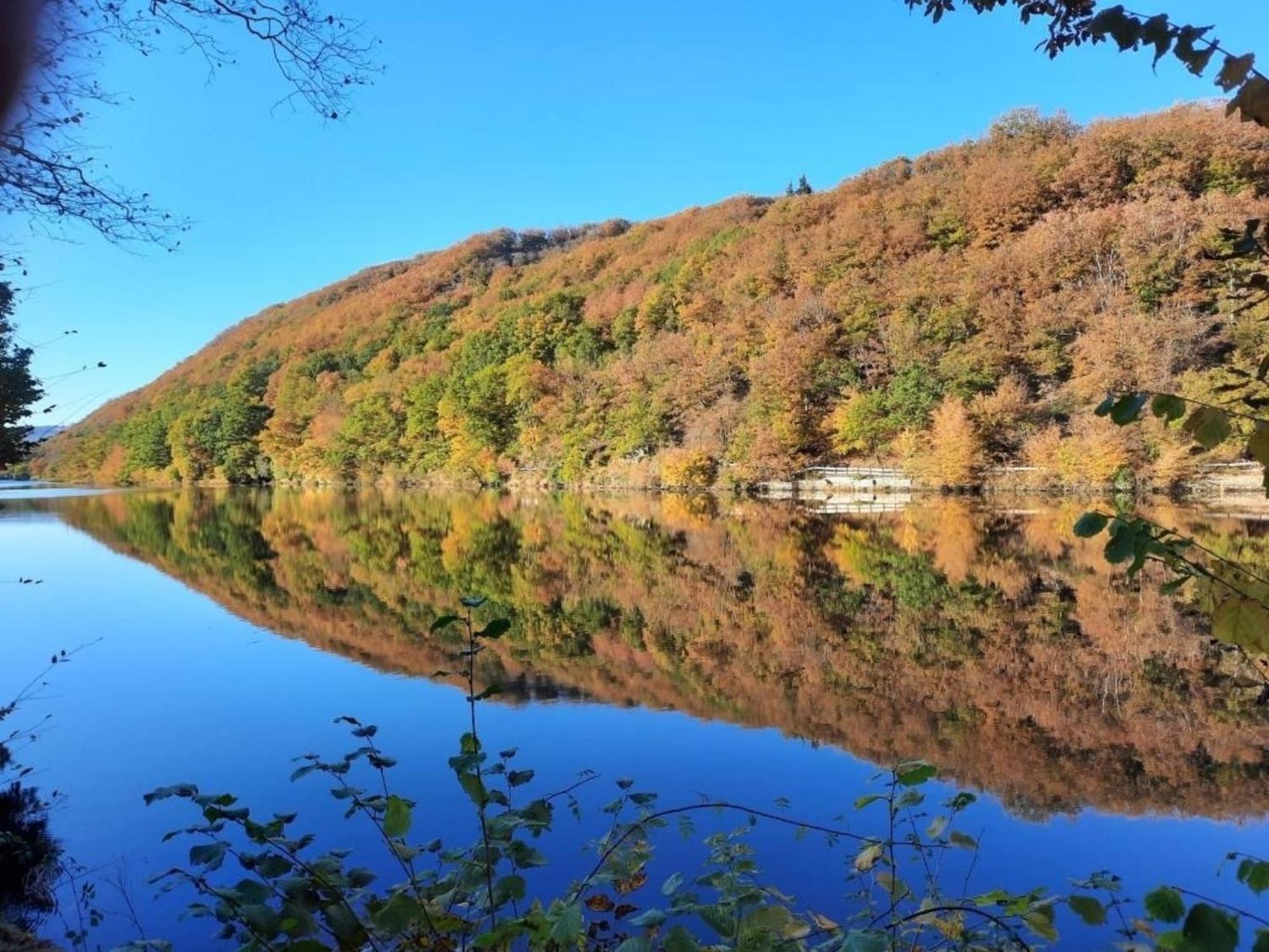 Ferienhaus &#039Freund Am See&#039 1 Heimbach Dış mekan fotoğraf